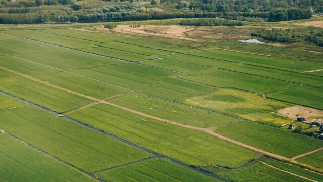 Is ruilverkaveling dé oplossing voor boer en natuur?