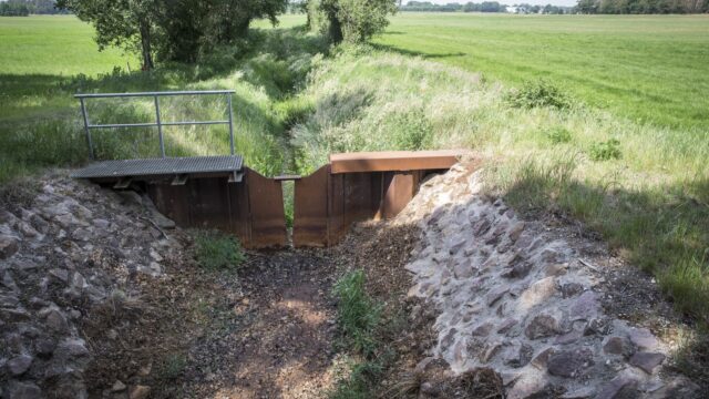 Amper regen en veel zon, droog voorjaar komt steeds vaker voor