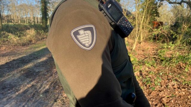 Vroege Vogels-verslaggever kruipt in huid van groene boa