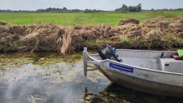 Bootvaarders opgelet: gooi planten uit de schroef niet terug in het water