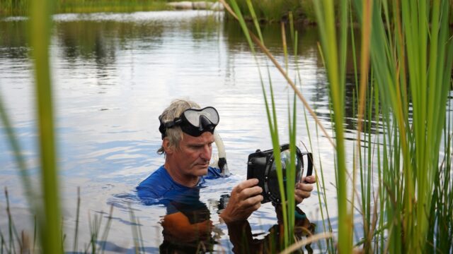 Nieuw natuurgebiedje onder water
