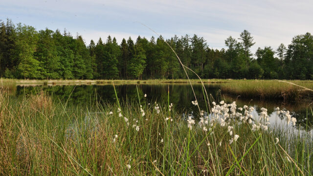 'De biodiversiteitscrisis is geen mening maar een wetenschappelijk feit'