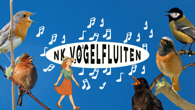 Doe mee aan het NK Vogelfluiten!