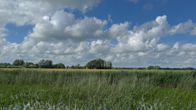 Zet 'De Dulf' niet onder water!