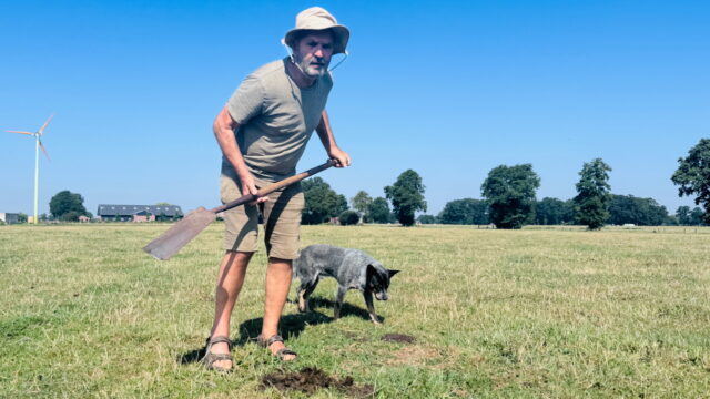 Groen gras zónder te sproeien? Hoe doet 'ie dat?