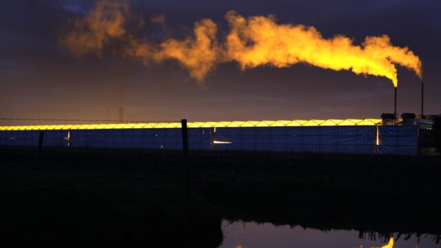 In de kassen in het Westland doen ze het licht uit tegen lichtvervuiling, maar niet iedereen doet mee