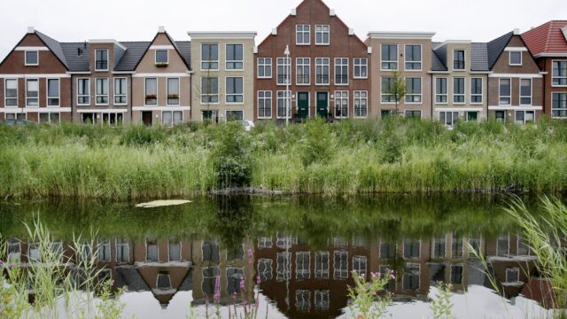 Hoe verloopt het proces van steden hittebestendig maken?