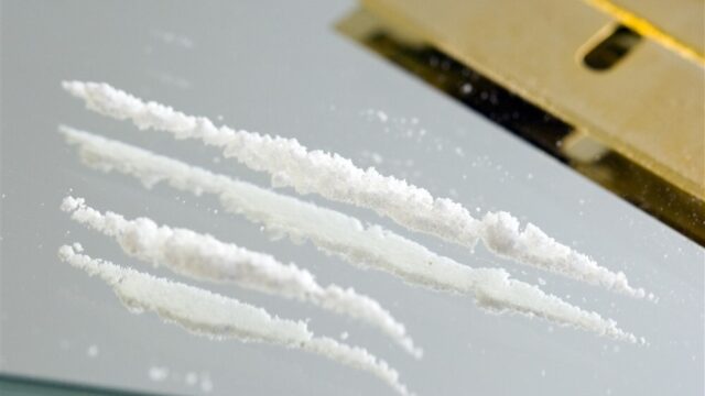 Stand.nl: 'De cocaïnehandel moet worden gereguleerd'