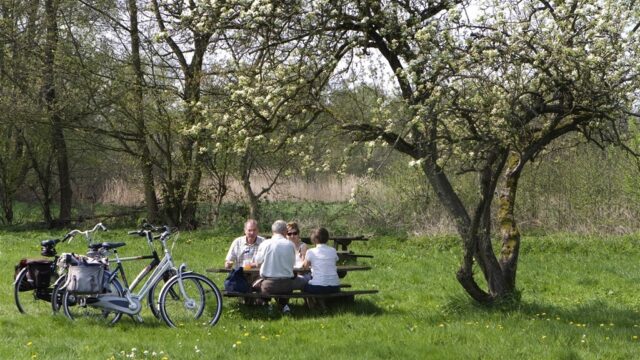 Zutphens Knarrenhof voor ouderen: zelfstandig wonen zolang het kan