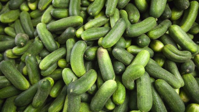 Was de 'pikkelboer' het begin van de Haagse band Golden Earring?