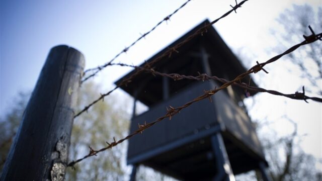 Eigen onderzoek naar familie: 'meerdere blijken toch de oorlog te hebben overleefd’