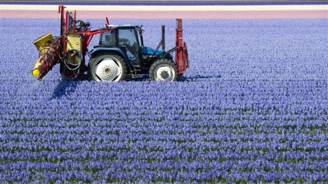 Cocktail aan gifstoffen gemeten in de lucht bij Drentse basisschool