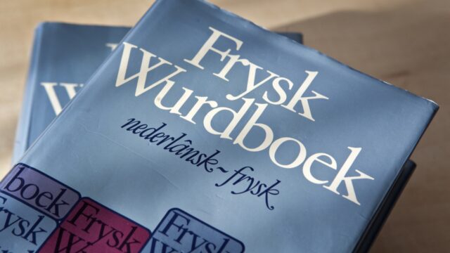 Waarom zijn er in Nederland zoveel dialecten?