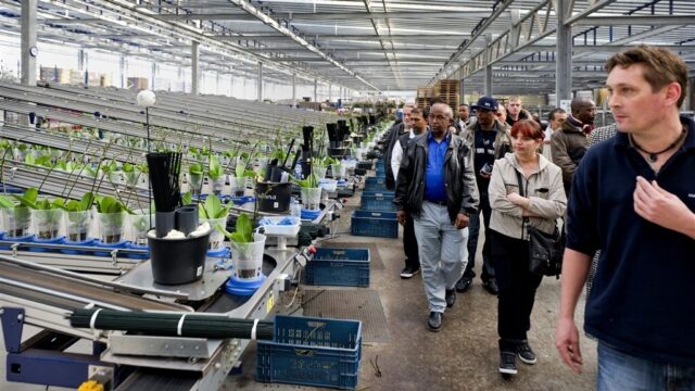 Is er een toekomst voor de glastuinbouw zonder arbeidsmigranten?