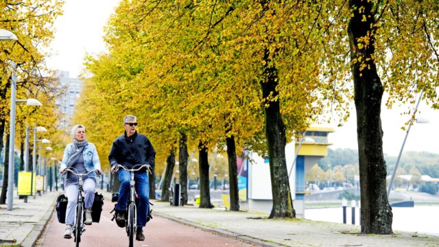 Bomen als koelkast voor de stad