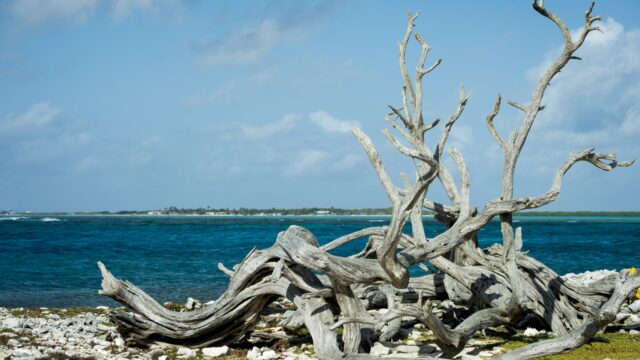 Groot deel van Bonaire krijgt aansluiting op riool