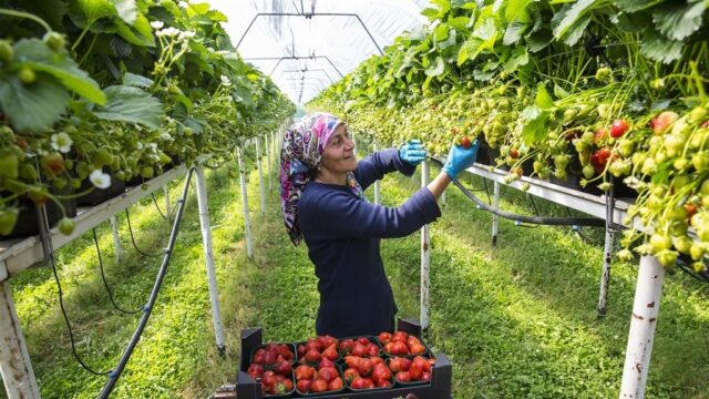 Arbeidsmigranten zijn hard nodig, maar huisvestingskwestie vraagt om landelijk beleid