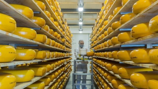 Is dierloze kaas onze redding in de strijd tegen klimaatverandering?