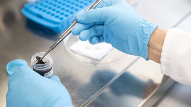 Hoe DNA-onderzoek uitgroeide tot onmisbaar opsporingsmiddel
