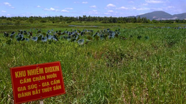 Belgisch bedrijf gaat 'Agent Orange' in Vietnam uitschakelen