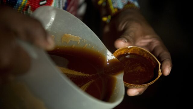 Podcast De Dag: ayahuasca-thee, een goed idee?