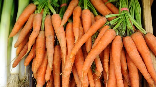 Kleine boeren winnen worteloorlog in Californië