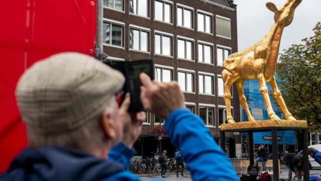 Toekomst Nederlands Film Festival in Utrecht onzeker: 'Het Gouden Kalf is hier geboren en moet hier blijven'