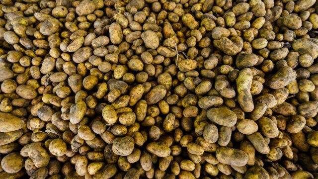 Hoe staat het met het aardappelenoverschot? 'We hebben ons best gedaan om zoveel mogelijk kwijt te raken'