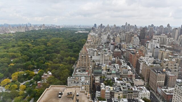 Wat doet een walvis in New York?