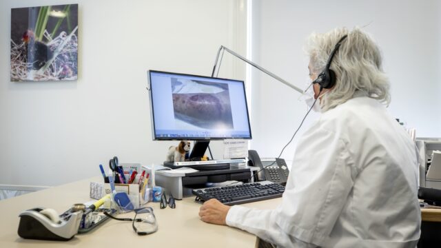 Huisartsbedrijven kopen praktijken op: 'Straks krijg je callcenter aan de lijn als je de dokter belt'