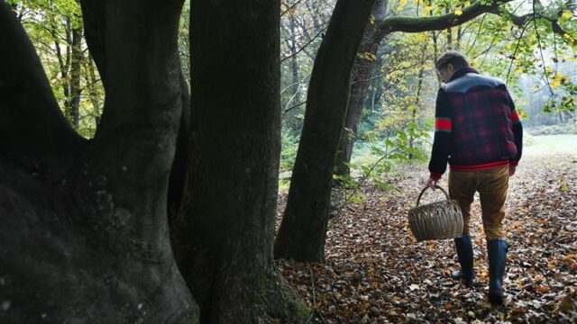 'Ik knip toch ook niet de rozen uit jouw tuin', zegt boa over wildplukkers in de Nederlandse bossen