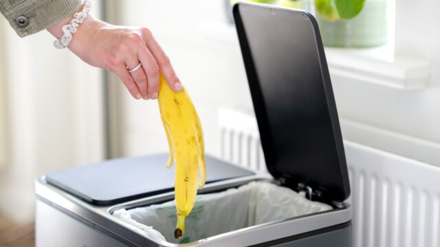 Onderzoek voedselverspilling: vooral brood en deegwaren worden veel weggegooid