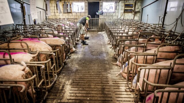 'Uitkoopregeling piekbelasters zal natuur niet ten goede komen'