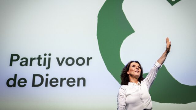 PvdD-bestuur droeg lokale fractie op coalitievorming te laten mislukken: 'De teneur was: je vindt maar een breekpunt'