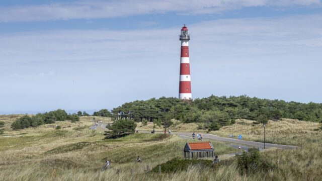 Oproep na problemen met exotische planten op Waddeneilanden: 'Geen exoot in de sloot'