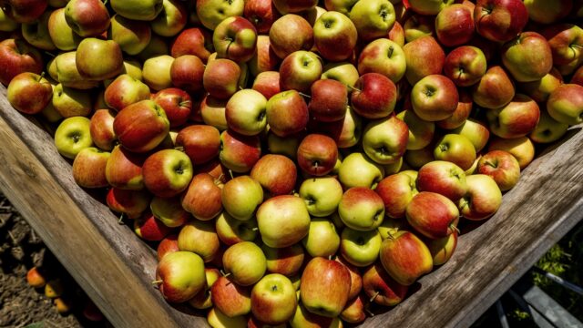 Meer PFAS gespoten op groente en fruit in Nederland: 'Een slechte ontwikkeling'