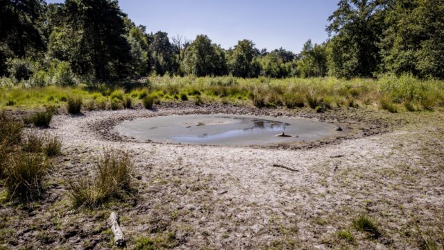 KNMI voorspelt onze klimaatscenario's: 'Best een heftige boodschap'