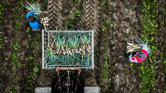 OVV start onderzoek naar veiligheid arbeidsmigranten op de werkvloer