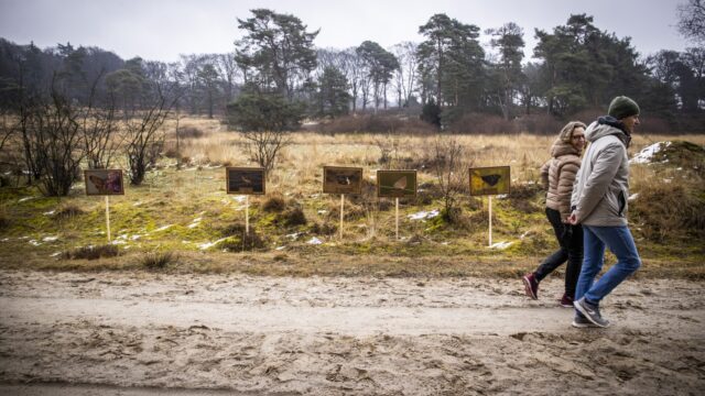 De natuur in Nederland gaat alleen maar verder achteruit, stelt ecoloog Mark Zekhuis