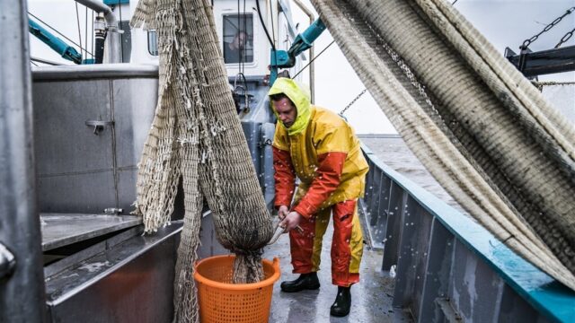 Natuurcompensatie: spannend jaar voor de Zeeuwse en Zuid-Hollandse vissers