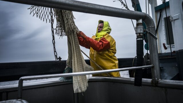 'Dit is niet alleen het einde van de garnalenvisserij, maar van de totale visserij'