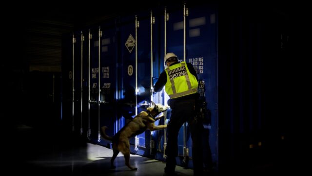 Zijn er drugs met jouw trosje bananen meegelift?