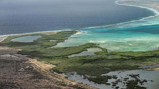 Olie aangespoeld op Bonaire