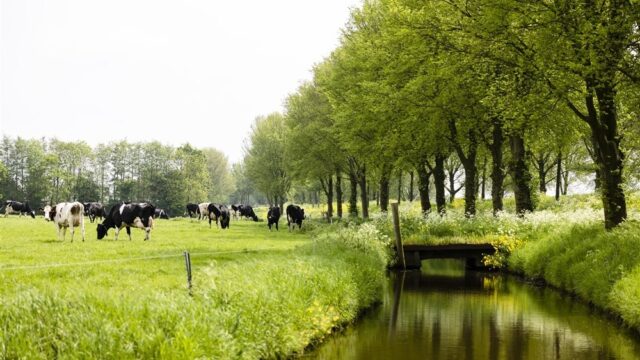 Stand.nl: 'De Natuurherstelwet van Timmermans moet er komen'