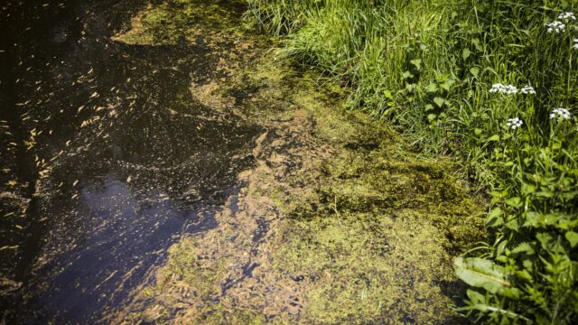 Wordt de watercrisis de nieuwe stikstofcrisis? 'Het wordt tien keer zo erg'