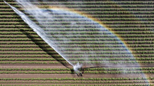 Waterbeheer moet anders: niet anticiperen op te veel water, maar juist op te weinig