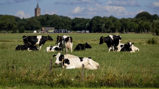 Wat is gezonder: wonen in een stad of op het platteland?