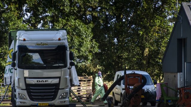 Weer een landelijke ophokplicht: 'Lastig te voorspellen hoe virus zich ontwikkelt'