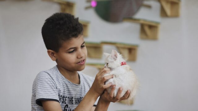 Relatie mens en dier: 'Je kunt niet zeggen dat je niets met dieren hebt'