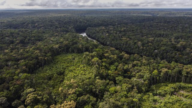 Podcast De Dag: de (vieze) wereld achter CO2-compensatie